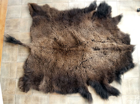 bison hide robe tanned
